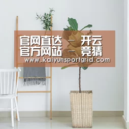 产品名称六(图1)