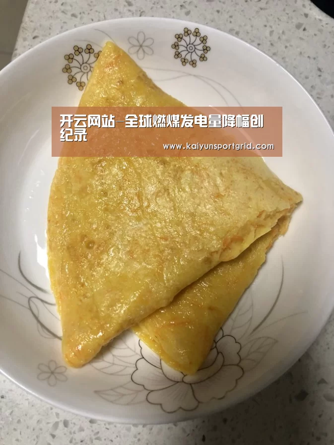 开云网站-全球燃煤发电量降幅创纪录(图3) 开云首页