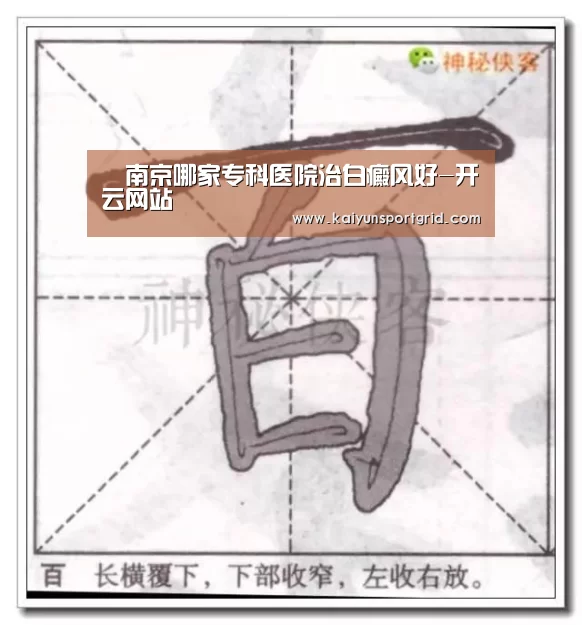 开云网站