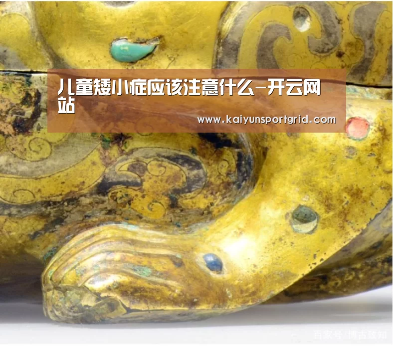 儿童矮小症应该注意什么-开云网站(图1) 开云赛事