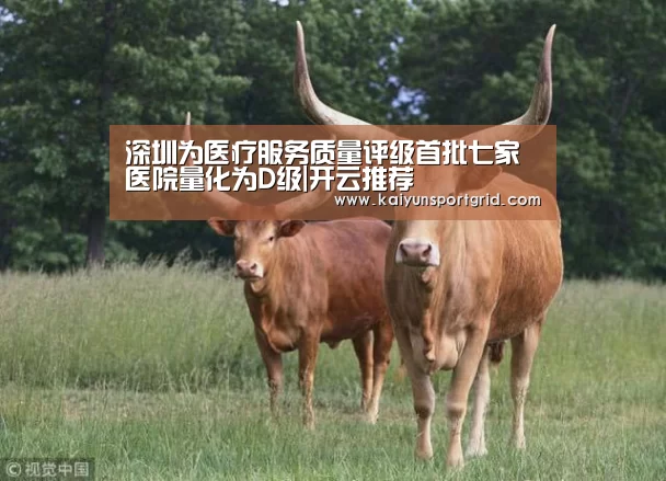深圳为医疗服务质量评级首批七家医院量化为D级|开云推荐(图2) 开云推荐