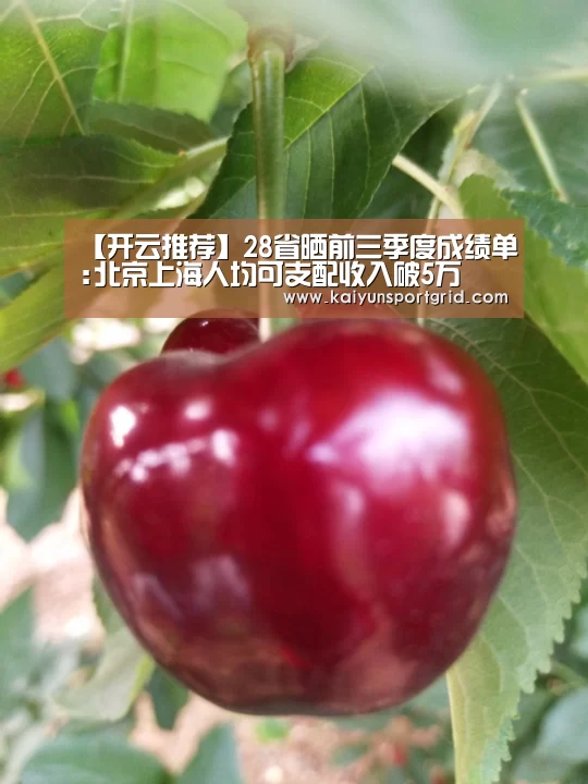 【开云推荐】28省晒前三季度成绩单:北京上海人均可支配收入破5万(图1) 开云赛事