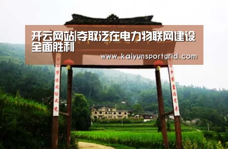 开云网站|夺取泛在电力物联网建设全面胜利(图1) 开云网站